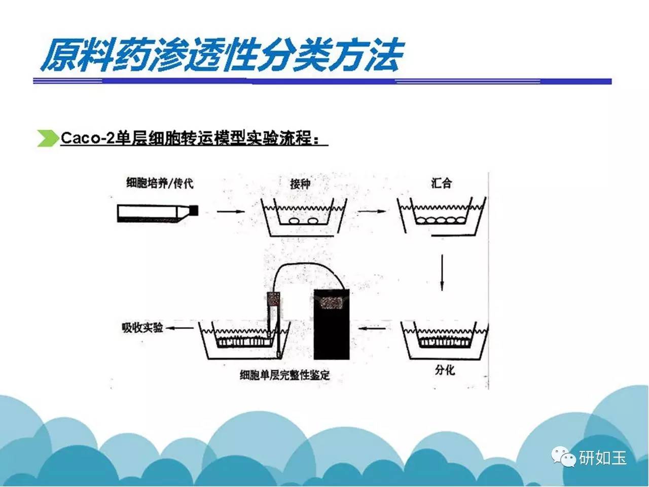 管家婆一肖一码100%准资料大全,详细解读落实方案_至尊版55.942