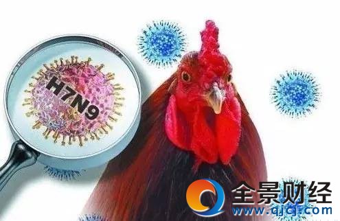 全球视野下的禽流感进展与挑战，聚焦H7N9最新情况分析